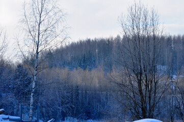 Nature is the material world of the universe, in fact, the main object of the study of natural...