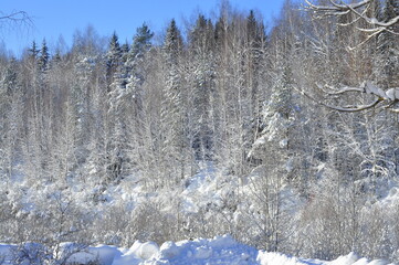 Nature is the material world of the universe, in fact, the main object of the study of natural...
