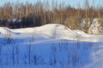 Nature is the material world of the universe, in fact, the main object of the study of natural...