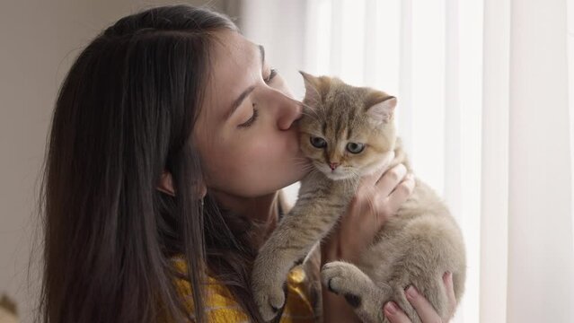 Portrait of young woman holding cute British Shorthair cat,A touching moment between a pet and its owner.A fluffy kid cat kisses its owner on the nose while sitting in her arms,pet,little best friends