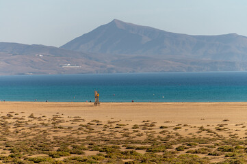 Fototapeta na wymiar Sandy dunes and turquoise water of Sotavento beach, Costa Calma, Fuerteventura, Canary islands, Spain in winter