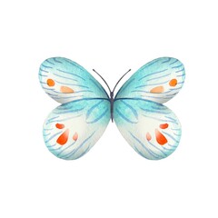 Hand drawn abstract butterfly in blue,red tones on a white background