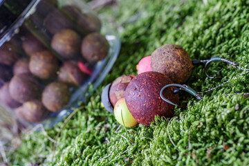 Carpfishing session at the Lake.Carp fishing hooks.Carp fishing rig.Round boilies used as bait for...