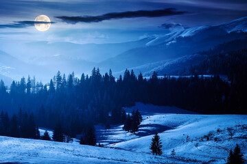 countryside winter scenery in carpathian mountains at night. landscape with forested snow covered...