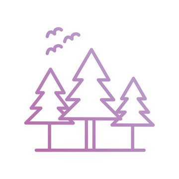 pine tree icon with white background vector stock illustration