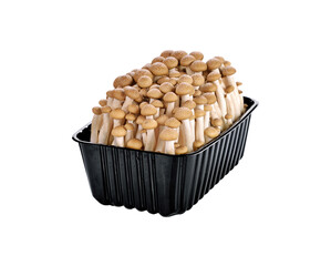 Brown beech mushrooms, Shimeji mushroom, Edible mushroom transparent png