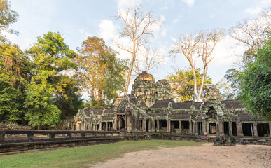Ta Prohm Temple, Angkor Wat, Cambodia