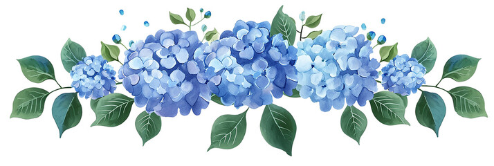 blue hydrangea flowers isolated on white background - obrazy, fototapety, plakaty