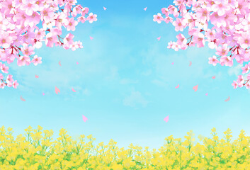 桜と菜の花　背景素材　水彩画　飾り枠　桜吹雪　野原　春イメージ　お花見　入学　卒業　入園　卒園　入社　ひな祭り　ひなまつり