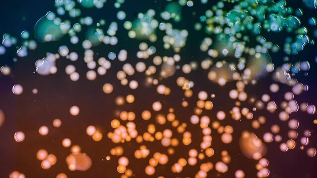 time-lapse of the growth of microorganisms and bacteria in a Petri dish during medical tests for pathological microbiomes