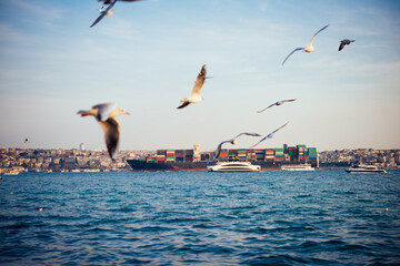 Cargo ship move along Bosphorus in Istanbul, Turkey.