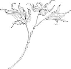 Abstract leaves isolated on white.  Line ink hand drawn illustration.