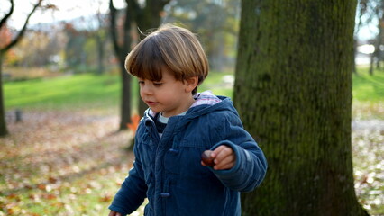 Boy Walking in Autumnal Park - Toddler Amidst Colorful Leaves on Sunny Day