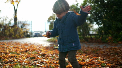 Adorable child exploring nature during autumn day, small boy gathering nuts and putting inside blue jacket, one blond 3 year old kid stands at park sunlight during fall