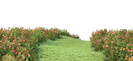 Colorful flower garden lawn on transparent background