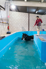 A man guides a black horse through a hydrotherapy pool to aid muscle recovery. The session reflects a specialized physical therapy for equines.