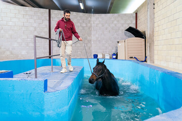 A focused caretaker guides a swimming horse in a therapeutic pool, providing specialized care for...