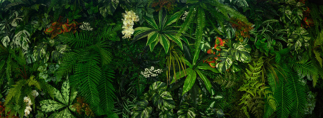 Group background of dark green tropical leaves ( monstera, palm, coconut leaf, fern, palm leaf,bananaleaf) background. concept of nature