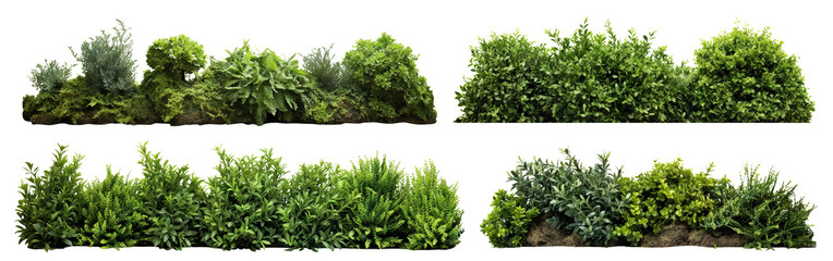 Set of lush garden bushes cut out - Powered by Adobe