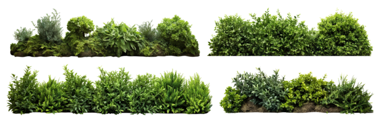 Set of lush garden bushes cut out