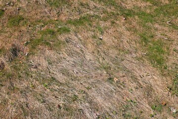 Dry grass fire hazard in Poland