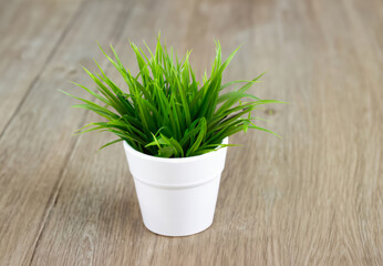 grass in a pot on wooden floor