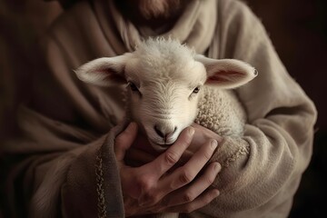 Jesus Christ recovered the lost sheep carrying it in arms.