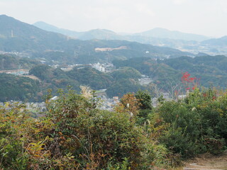 日本の地方都市　山林と市街地