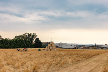 Roadside Christmas decorations made of hay bales in country Victoria