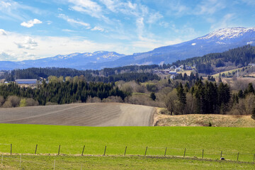 Agricultural area Bratsberg in the spring, Norway