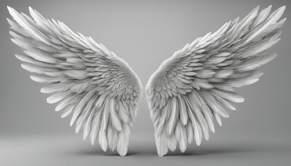 Angel wings isolated on background
