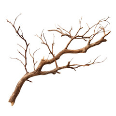 Dry branche clip art