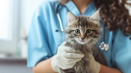 A veterinarian holding a cat pet