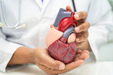 Cardiovascular disease CVD, Asian doctor holding human anatomy model for learn and treat heart...