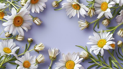 Daisy Circle on Purple Gradient Background. White daisy circle with a rich purple gradient backdrop, ideal for messaging.