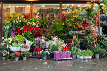 Street flower shop
