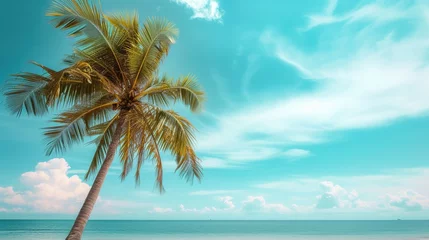 Poster Abstract background of white clouds and blue sky with palm tree on tropical beach. © Wp Background
