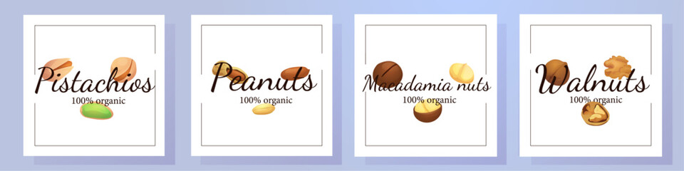 A set of flat illustrations of nuts: almonds, walnuts,cashews,pistachios,pecans,hazelnuts, brazil nuts, macadamia nuts,pine nuts, chestnuts peanuts and coconuts.