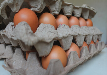 Close up many fresh brown chicken eggs in tray carton at retail display of farmers market, low, angle view perspective.