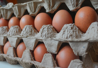 Close up many fresh brown chicken eggs in tray carton at retail display of farmers market, low, angle view perspective.