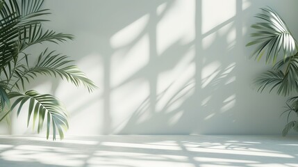 a vacant space with flowers, palm leaves, and window shadows.