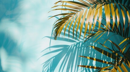 Fototapeta na wymiar Palm tree leaves and green foliage create a lush canopy.