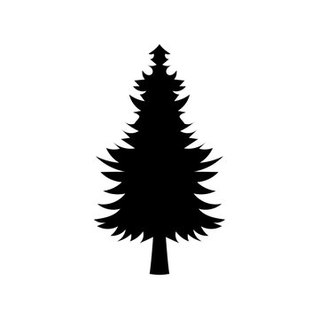 Monochrome illustration of a wild spruce silhouette on a white background.