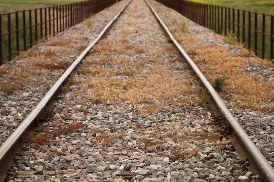 Railway tracks disappearing into the horizon. Concept of means of transport.