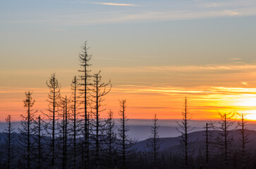 Sonnenuntergang im Harz