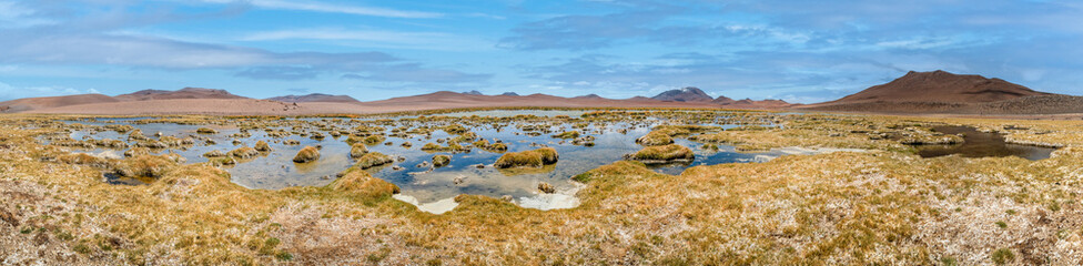 View of Quepiaco lagoon in Atacama desert, Chile.