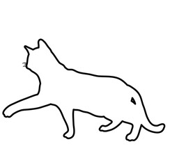 Cat Doodle Lines Style 