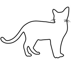 Cat Doodle Lines Style 