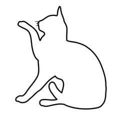 Cat Doodle Lines Style 