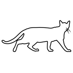 Cat Doodle Lines Style 
